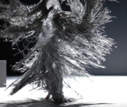 Official trailer Silver